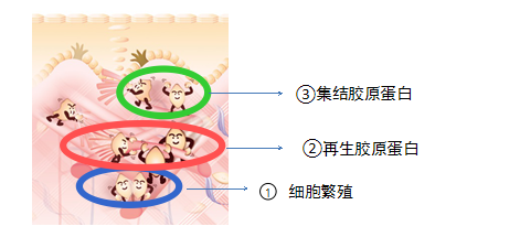 当前图片注释